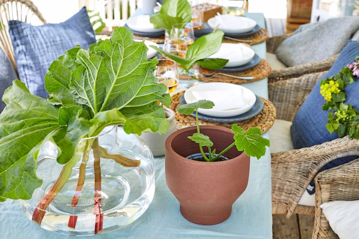 Rabarber i en glasvas från Marimekko och odlingsplantor i rustik kruka agerar som centerpiece på denna moderna midsommardukning. 