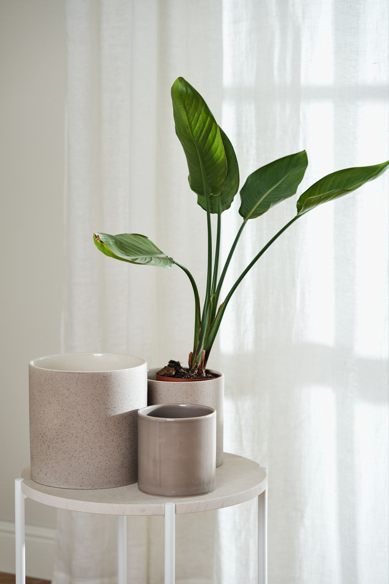 Skapa ett feng shui-vardagsrum genom att inreda med blommor och gröna växter för att sprida positiv energi.