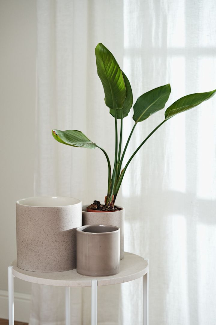 Skapa ett feng shui-vardagsrum genom att inreda med blommor och gröna växter för att sprida positiv energi.