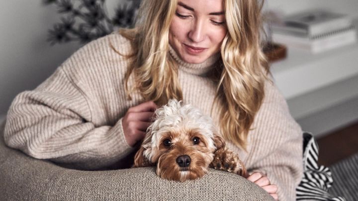 Influencern Elin Skoglund och hennes hund Selma myser i soffan i lägenheten i Stockholm. 