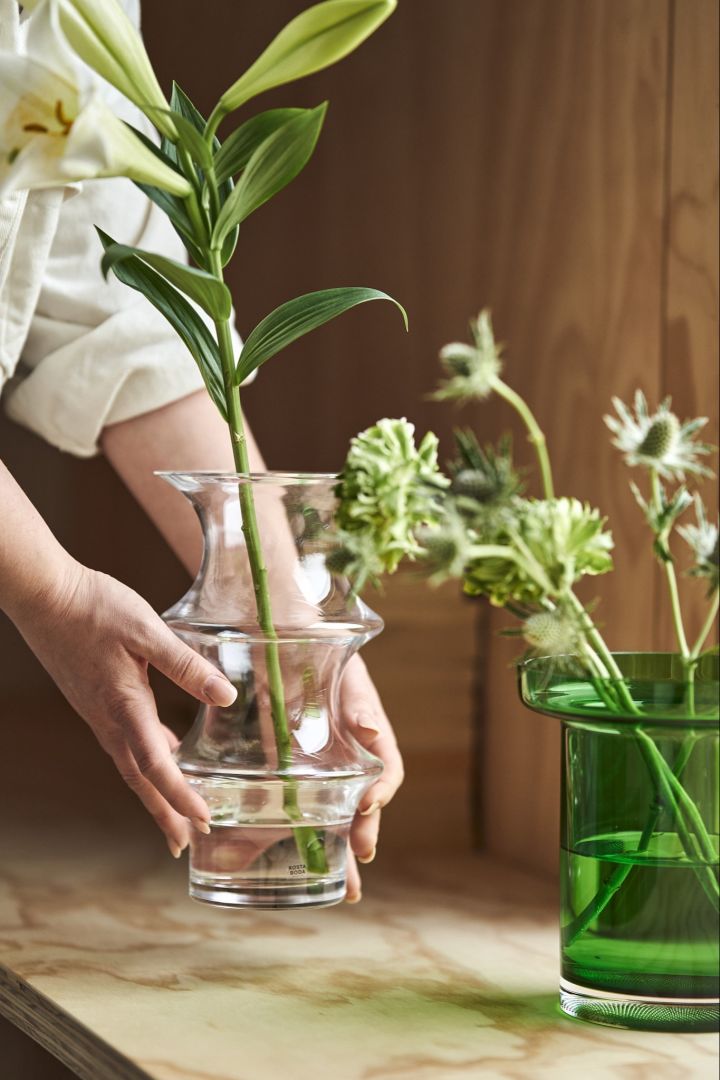 Pagod vas i klarglas med kvist av lilja i tillsammans med grön vas Limelight från Kosta Boda på en fönsterbräda. 