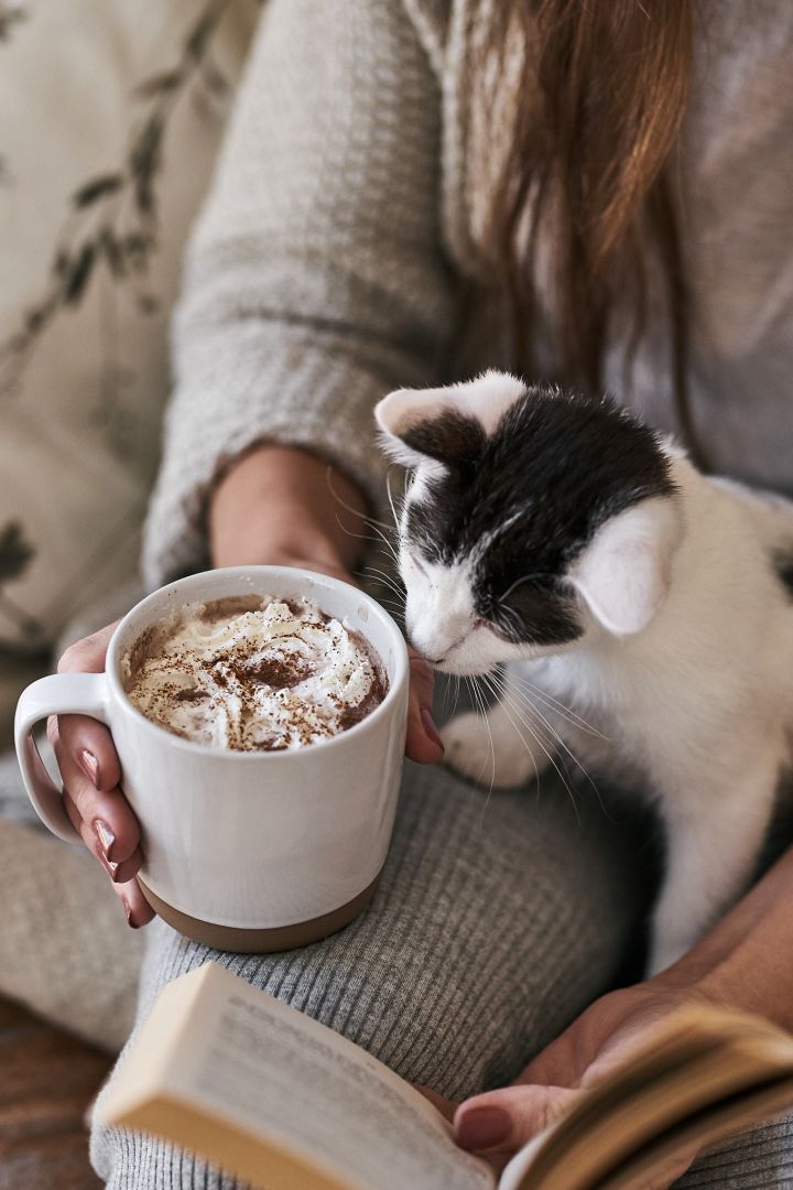 Vit kaffemugg från Nordic Nest med god varm choklad som kattungen nosar på. 