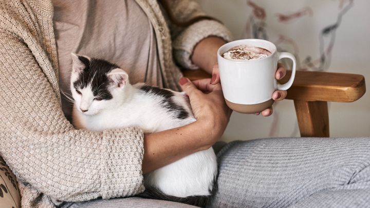Höstmys med vit kaffemugg från Nordic Nest i handen och katt i famnen. 