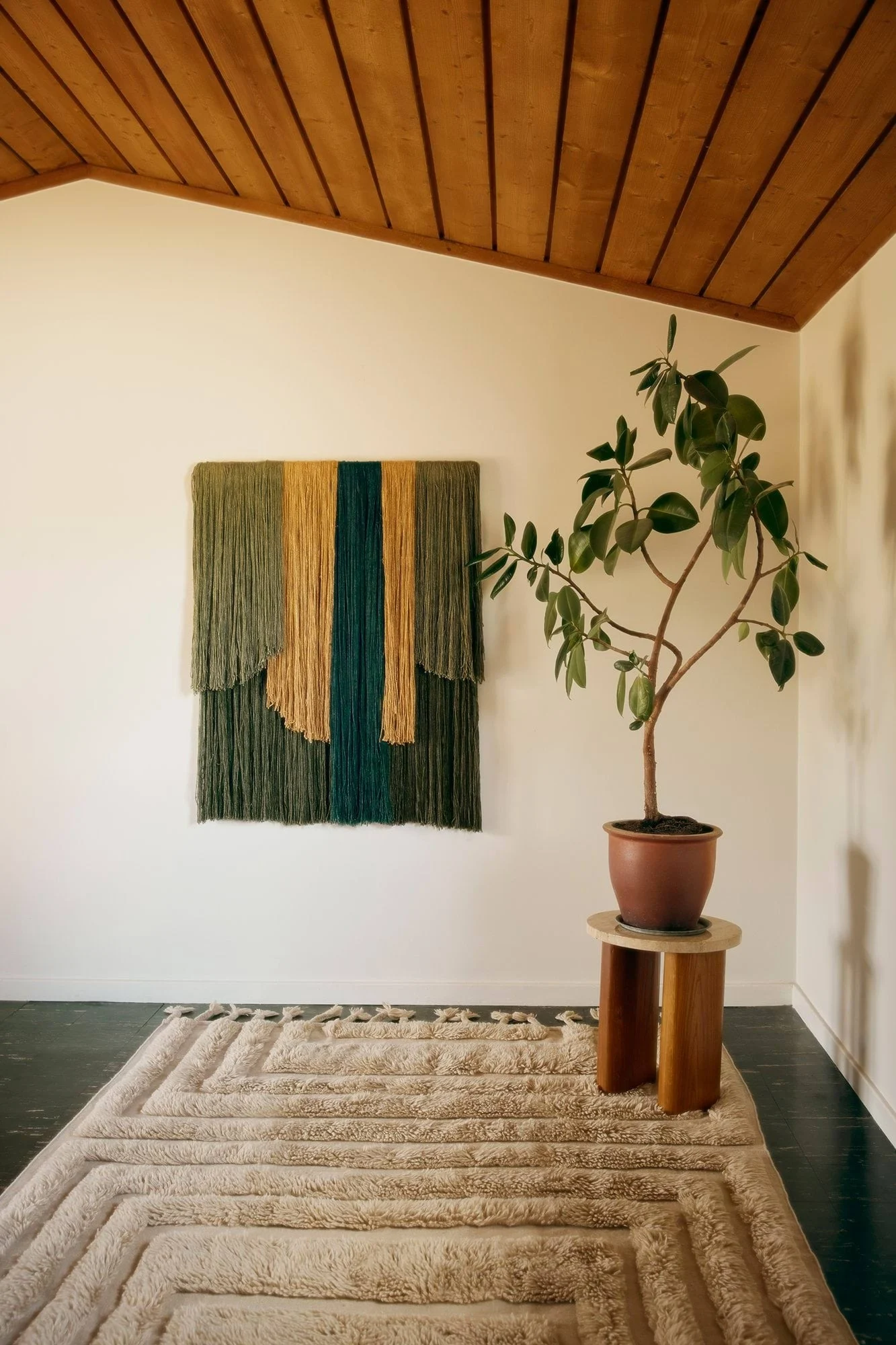 Ett rum med en texturerad grön, guld och teal garnvävnad, en krukväxt och en lurvig beige matta med geometriska mönster.