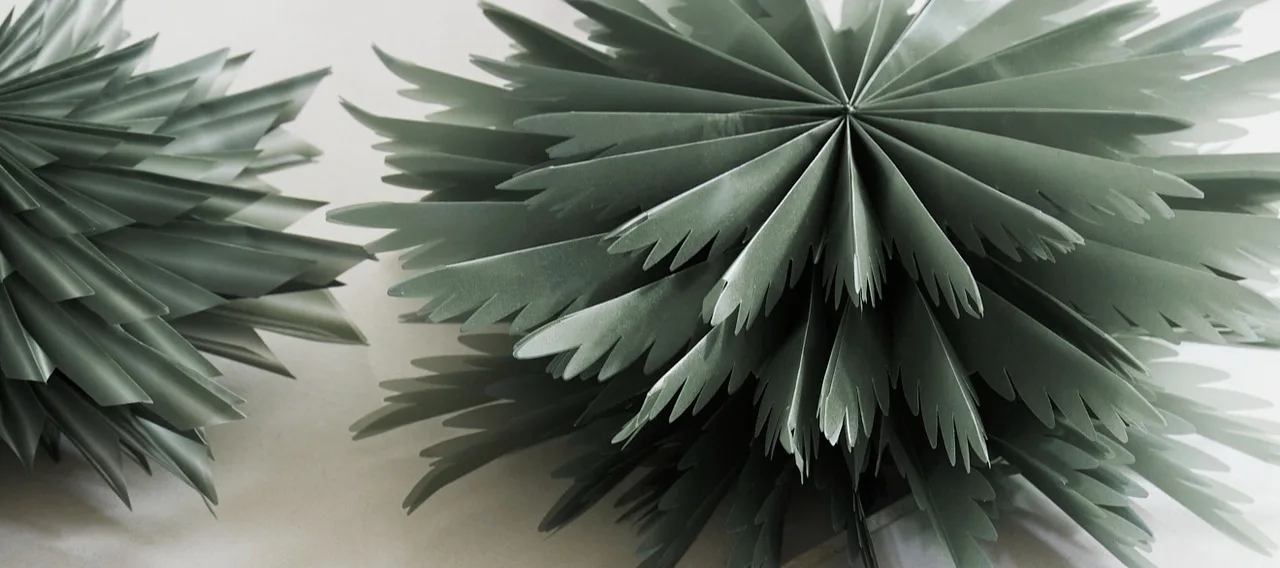 Här ser du en nykomling bland julstjärnorna, de röd- och vitmönstrade stjärnorna från Bare-kollektionen från Scandi Living, hängande på en dörr.