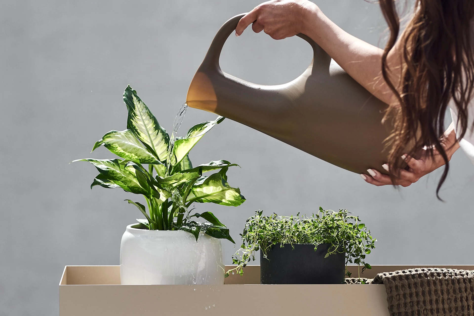 Gröna favoriter som en olivgrön vattenkanna eller gott om gröna växter är en stor del av uteplats trender . 