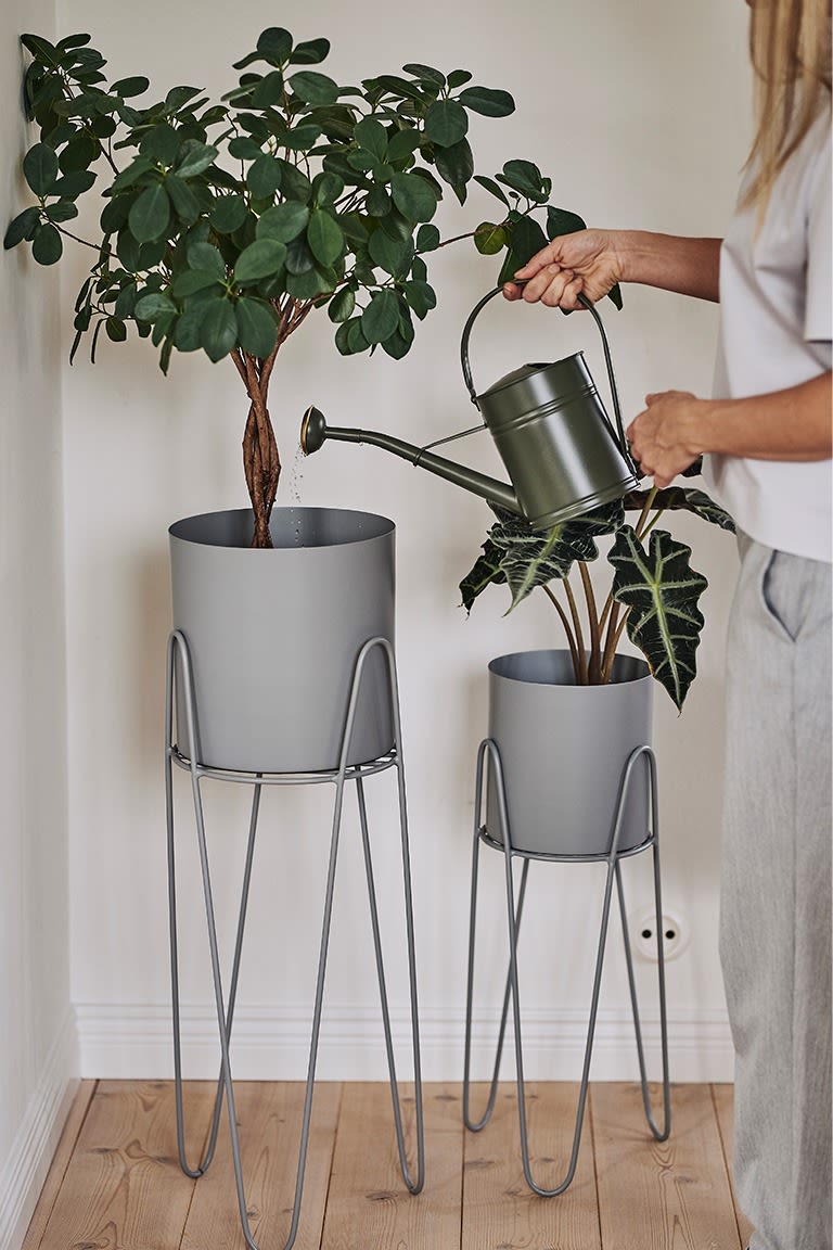 En matplats inredd i skandinavisk stil med gröna växter som huserar i grå blompiedestal från Broste Copenhagen. 