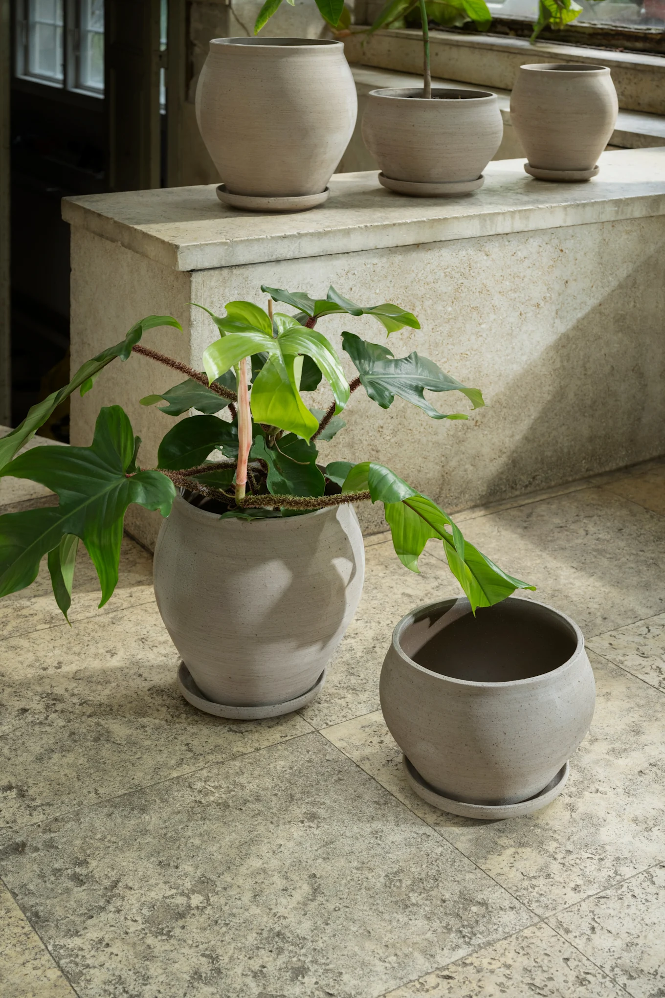 Flera ljusgrå keramikkrukor med och utan växter i en solig inomhusmiljö. .Inspiration till din balkong 2026.