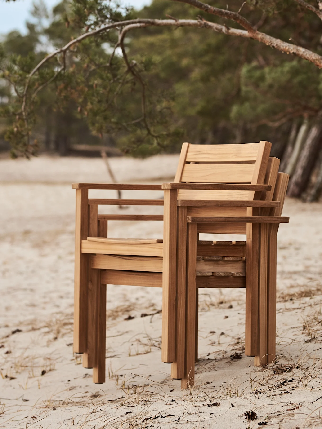 Tre staplade utomhusstolar i trä på en sandstrand med träd i bakgrunden.
