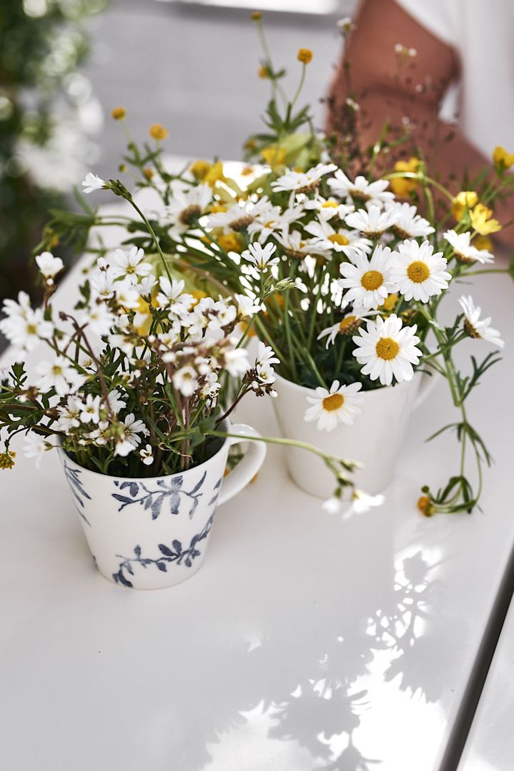 Sommarblommorna huserar i vit och blåvit kaffekopp från Nordic Nest – redo att plockas till midsommarkransen. 