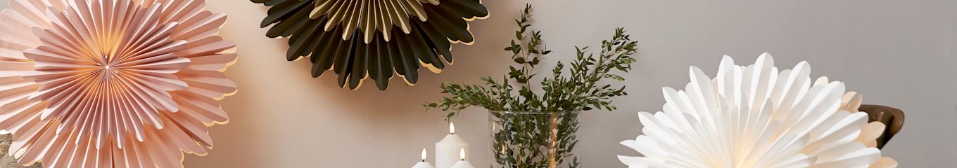 Adventsstjärnor
