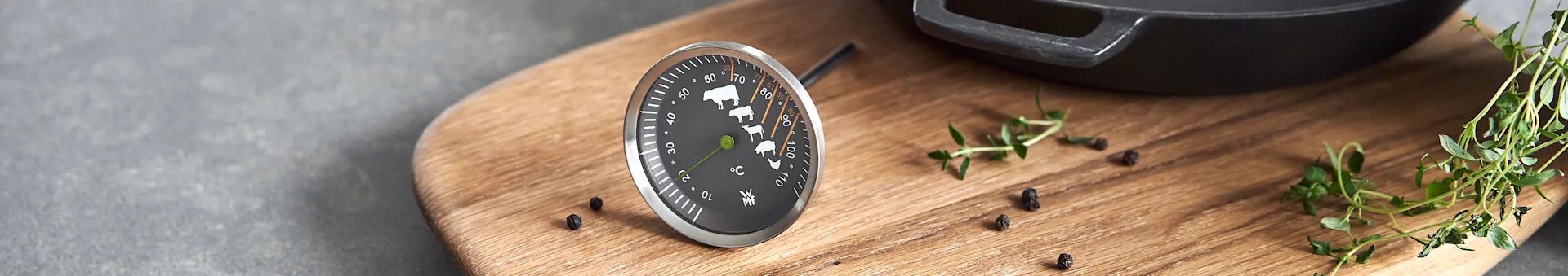 Termometrar & timers