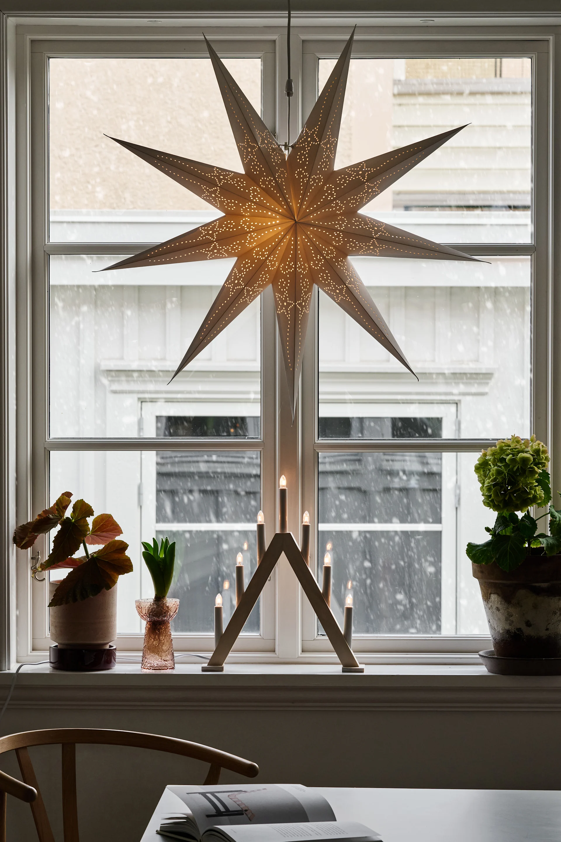 En adventsstjärna hänger i ett fönster och lyser och visar på årets snygga nyheter.