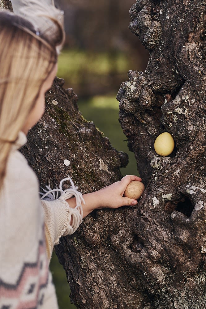 Färgade ägg har gömts i trädet under en äggjakt i trädgården. 