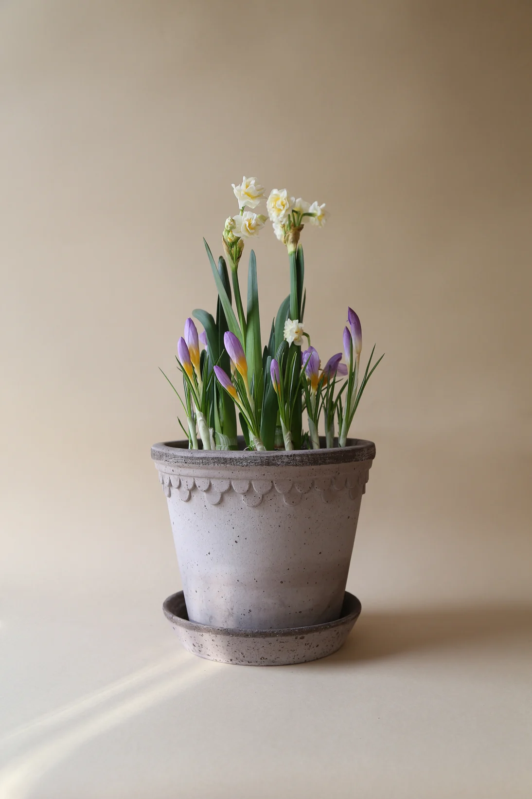 I stället för en bukett kan du ge bort en växt i morsdagspresent, som den här liljekonvaljen i en grå kruka från Bergs Potters Copenhagen-kollektion.