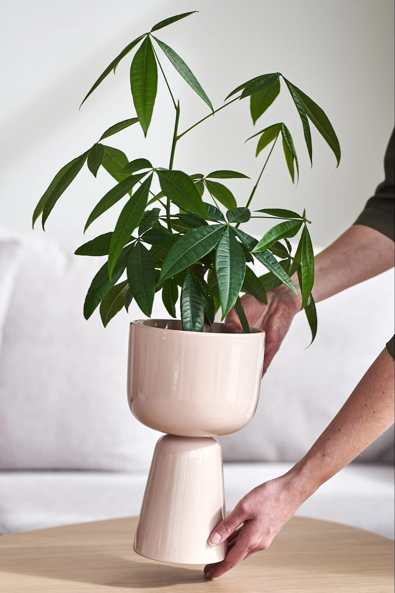 Beige Nappula kruka från Iittala med grön krukväxt i. 