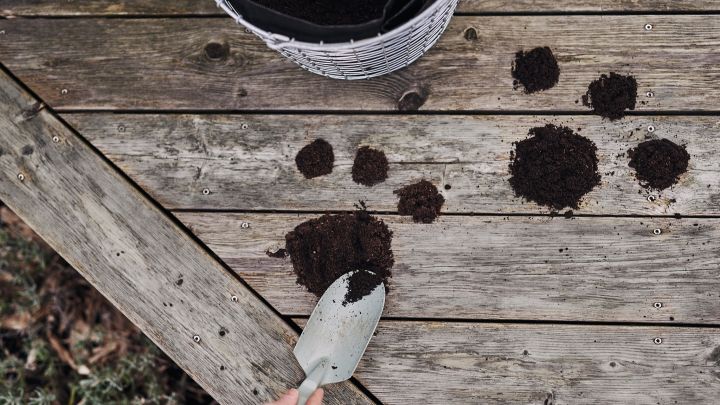 Tassavtryck i jord används som en ledtråd för barnen att hitta ägg i en äggjakt i trädgården. 