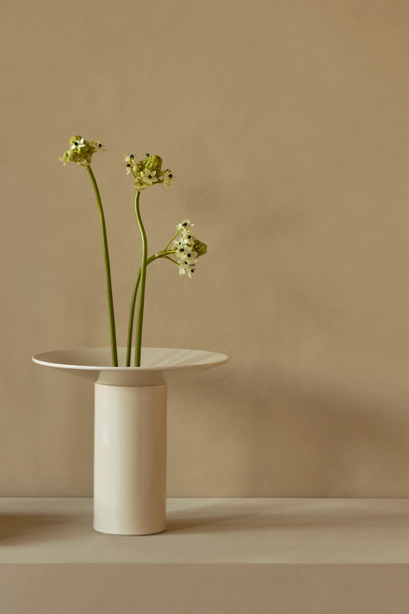 Tre gröna stjälkar med små ljusgröna och vita blommor i en hög, vit vas med en platt, bred kant.