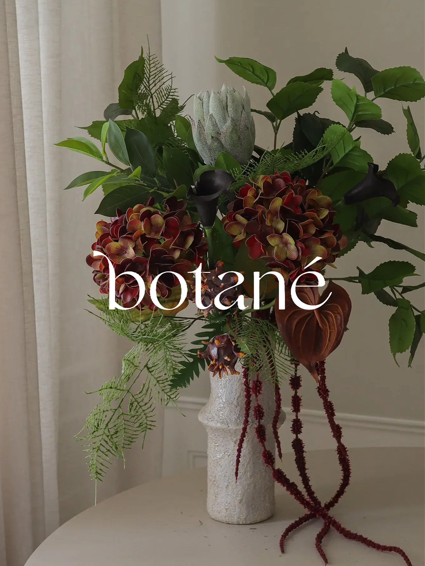 Ett blomsterarrangemang med röda hortensior, en protea och svarta kallas i en vit vas, med 'botané' överlagrat.