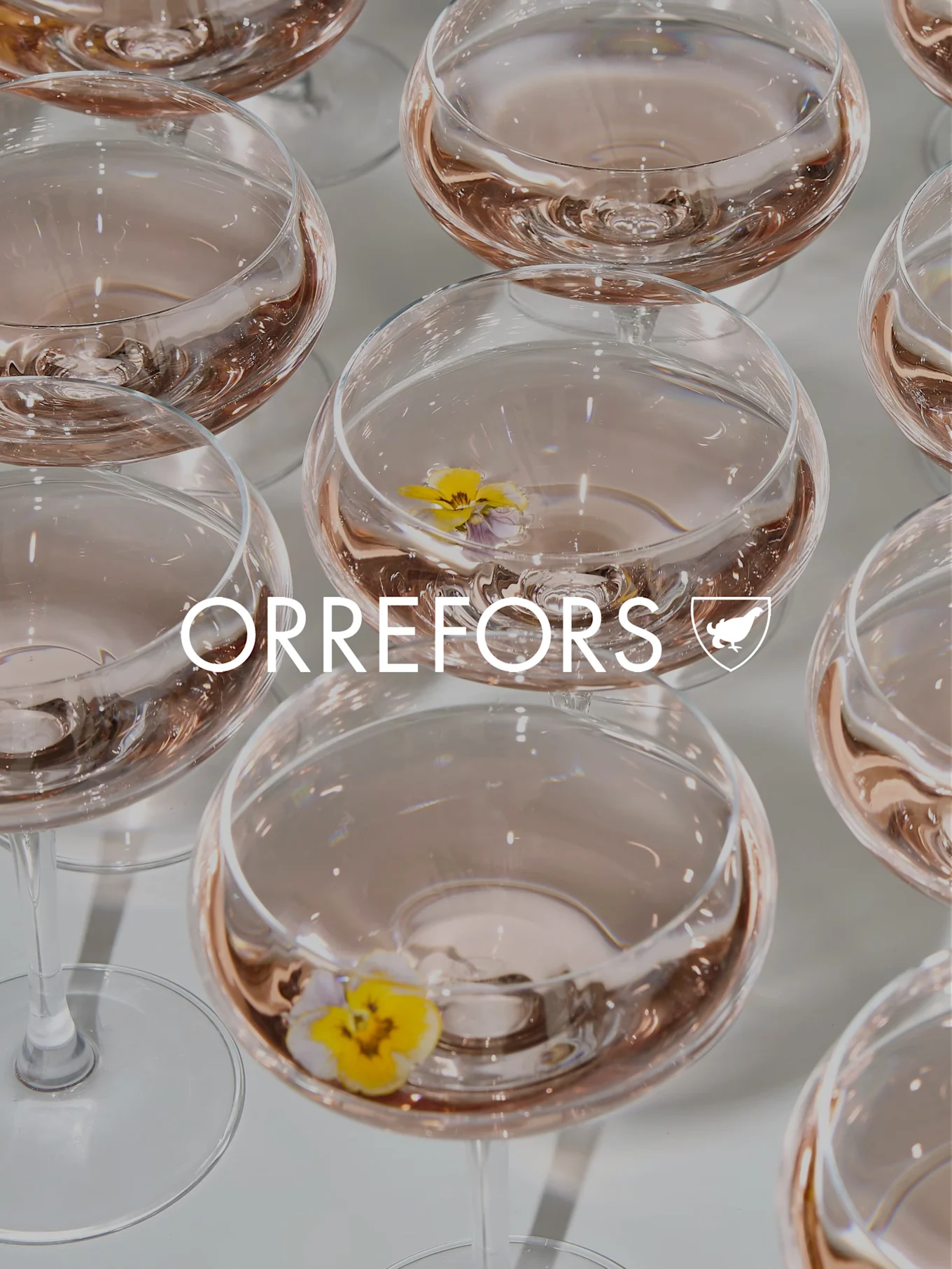 Klara glasbägare med rosa vätska och gula penséer. 'ORREFORS' text och logotyp överlagrade.