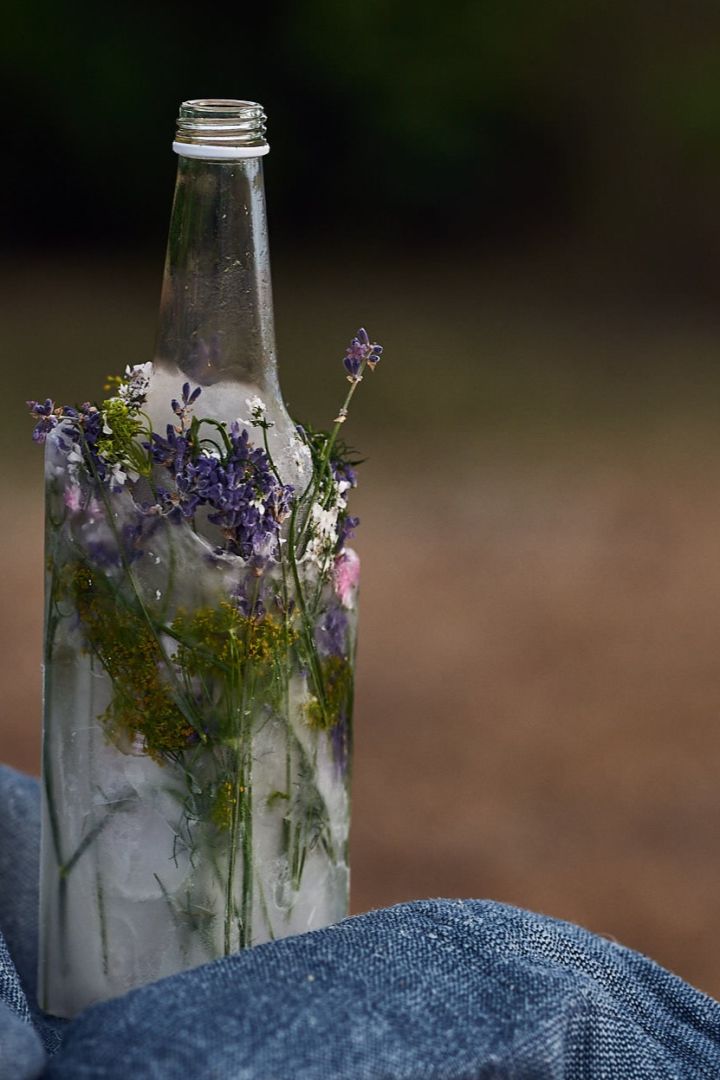 Ett DIY-tips till sommarfesten är att frysa ner en flaska dryck med blommor runt. 