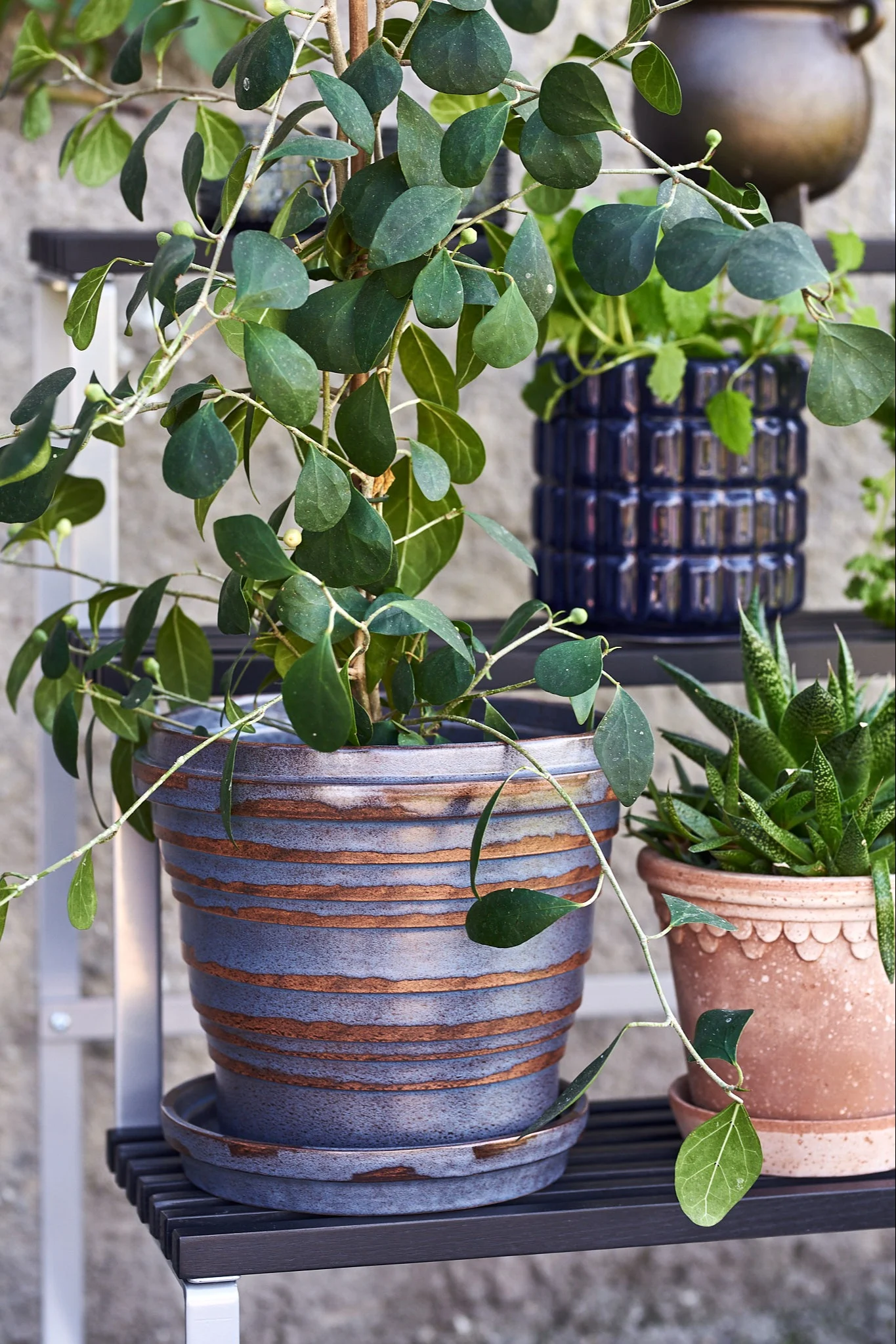 Bergs Potter vintage kruka i metallic blå står på blompiedestal. 