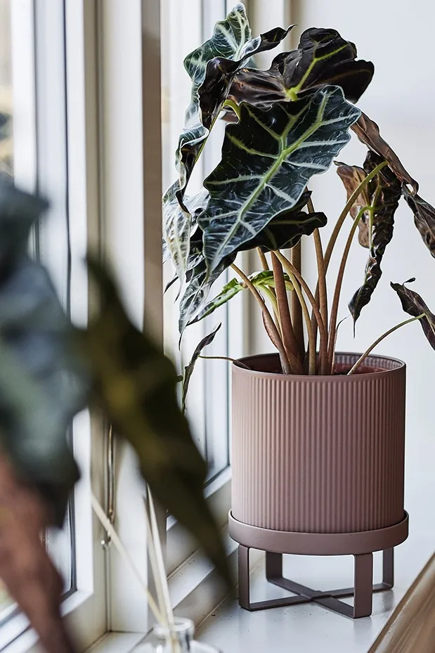 Bau rosa kruka från Ferm Living förskönar denna rofyllda matplats inredd i skandinavisk stil. 