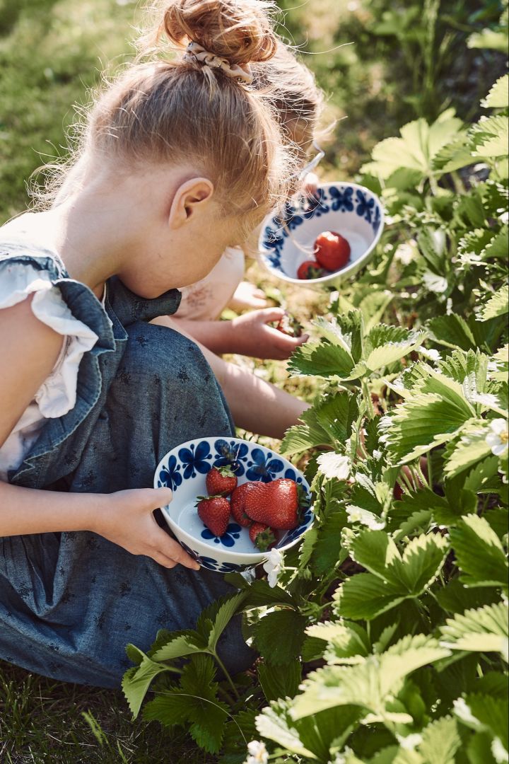 Sommar bucket list tips - plocka jordgubbar med barnen. 