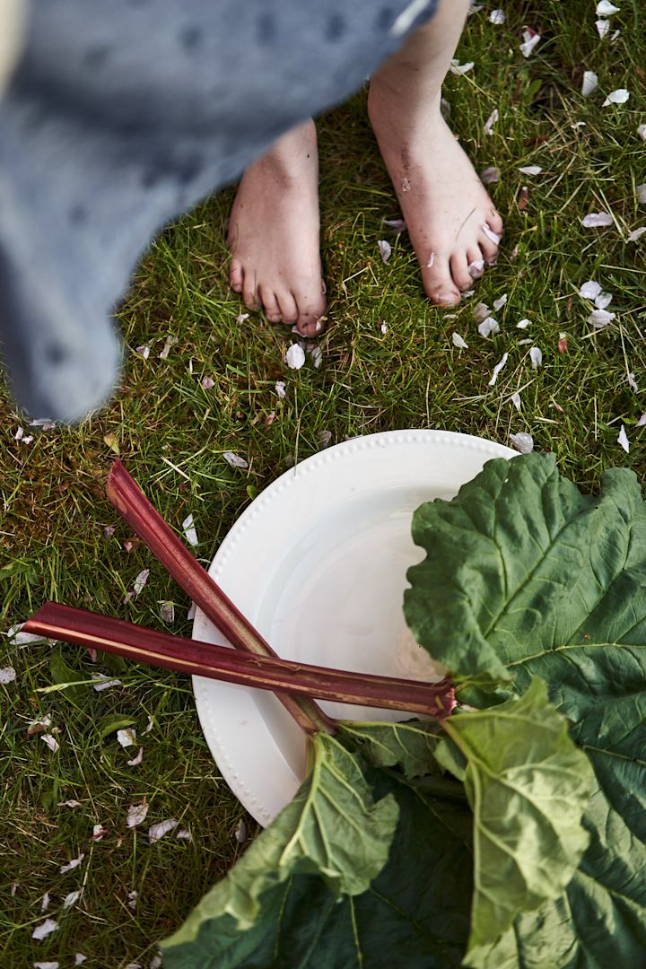 Sommar bucket list - baka en rabarberpaj.