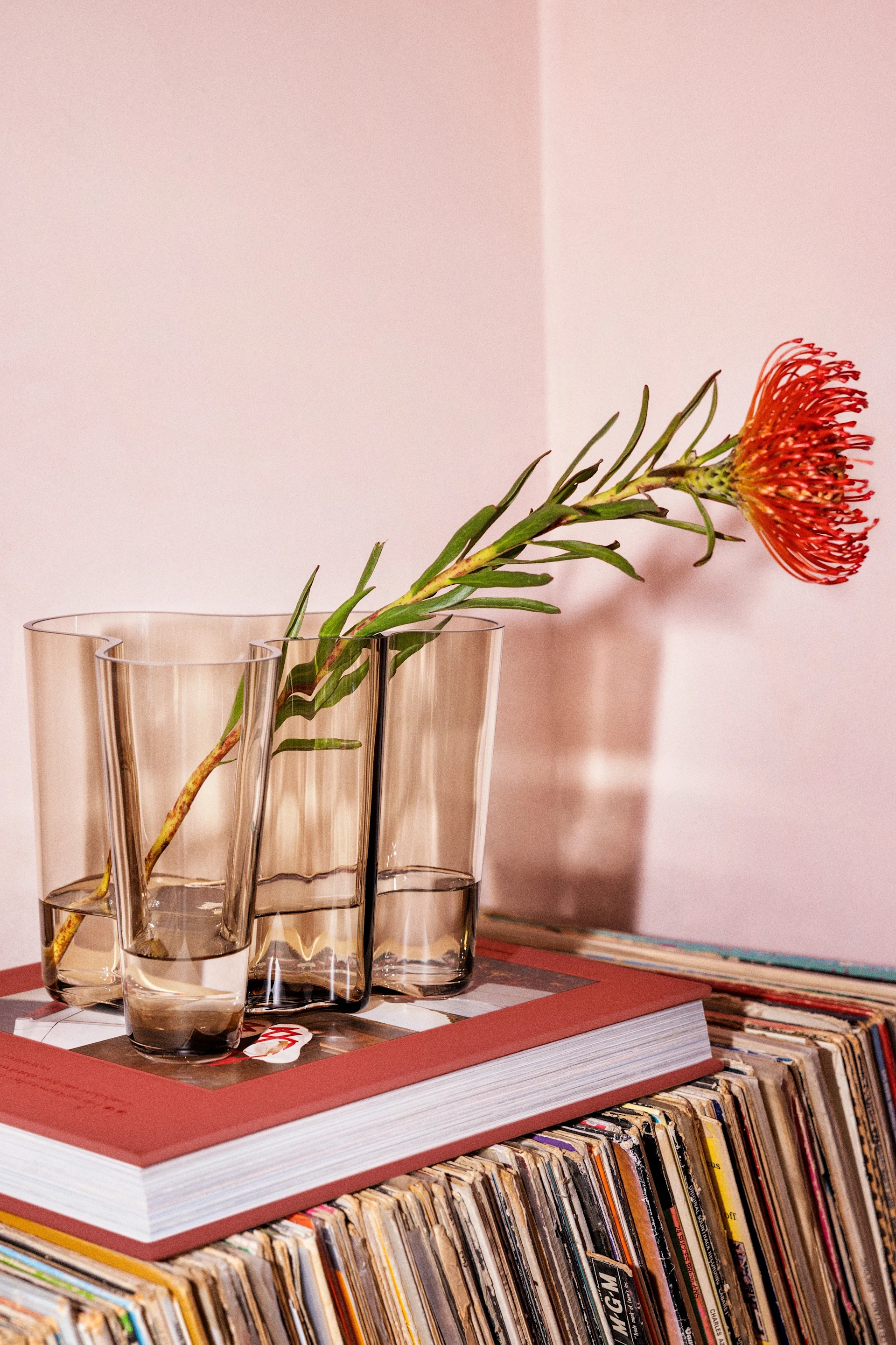 En genomskinlig vas med en röd blomma i som står på en bok - perfekt julklappstips.