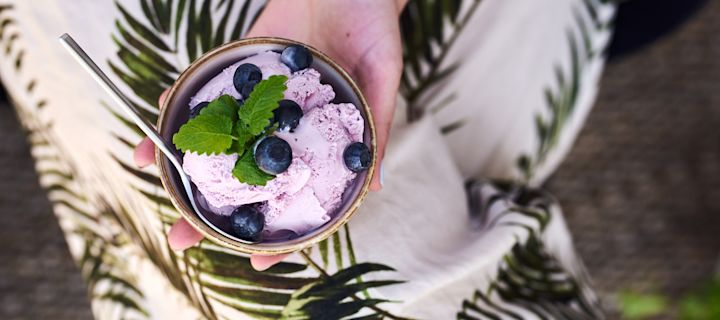 Hemgjord gelato i rustik skål toppad med färska blåbär.