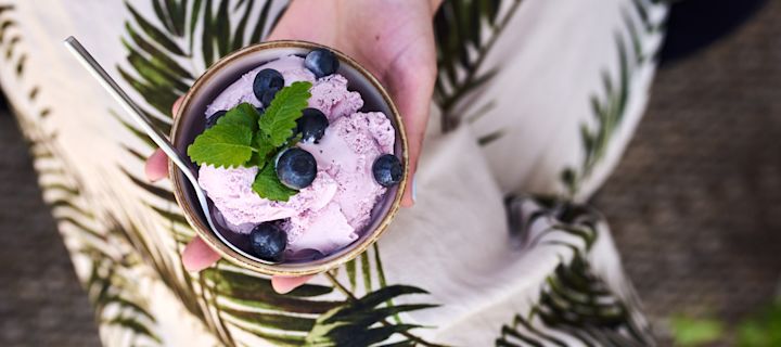 Hemgjord gelato i rustik skål toppad med färska blåbär.