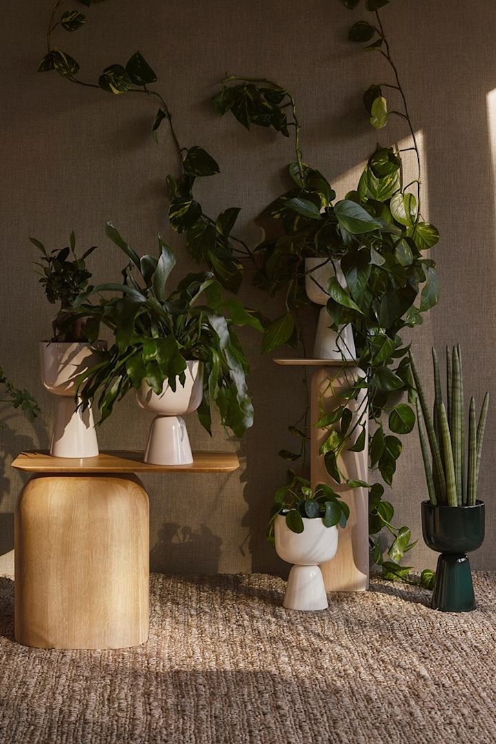 Snygga krukor från Iittala i vitt, puderrosa och grönt med gröna medelhavsväxter i.