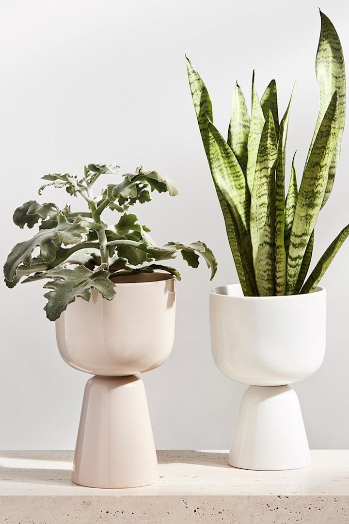 Keramikkrukor i vitt och puderrosa från Iittala med gröna växter i.