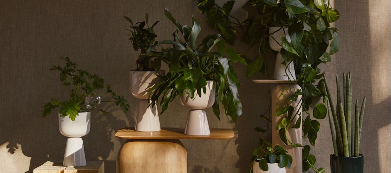 9 tips på stora krukor inomhus. Inred med Nappula keramikkruka från Iittala för ett ombonat hem.