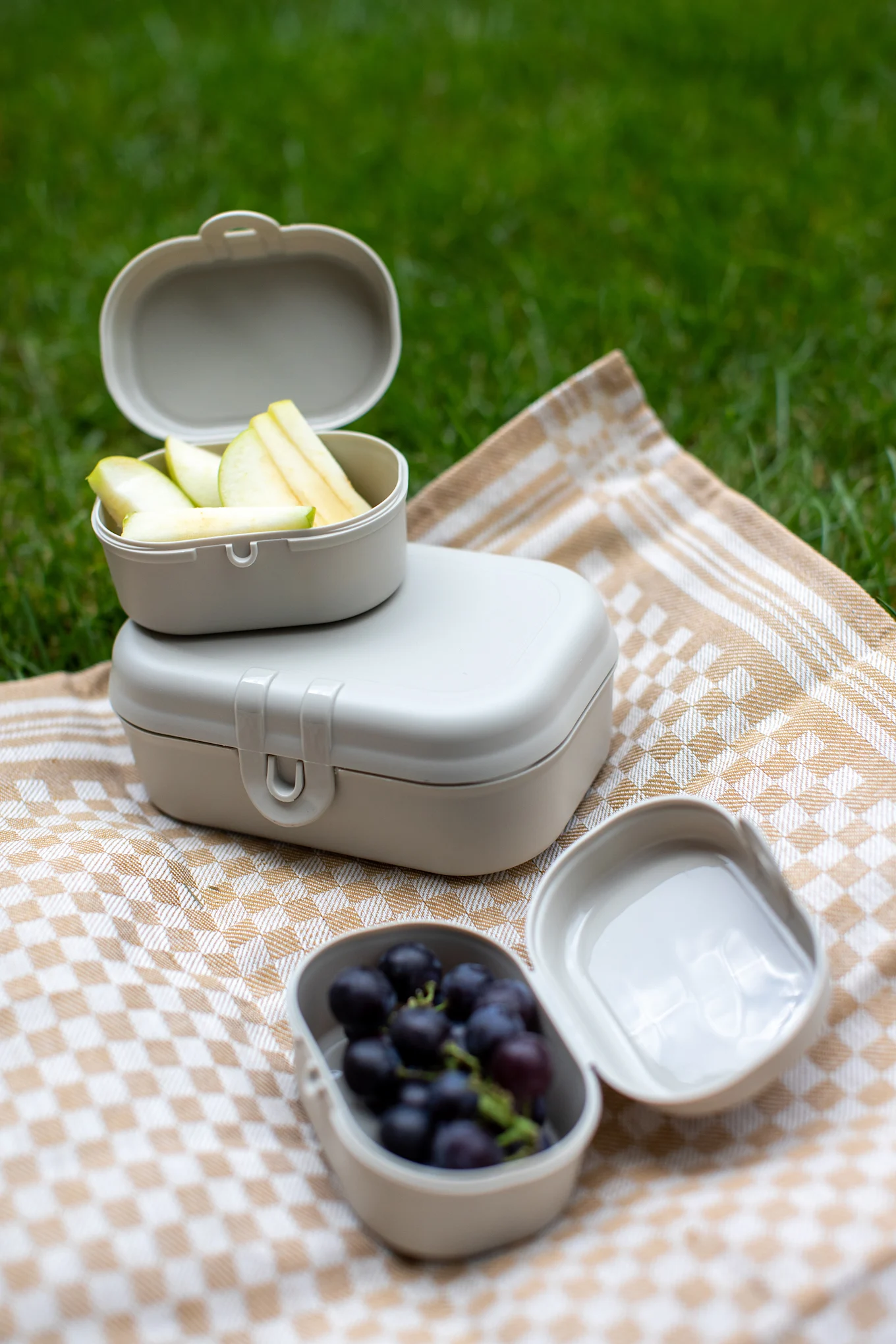Tre ljusbeige matlådor med skivade äpplen och vindruvor på en rutig picknickfilt på gräset.