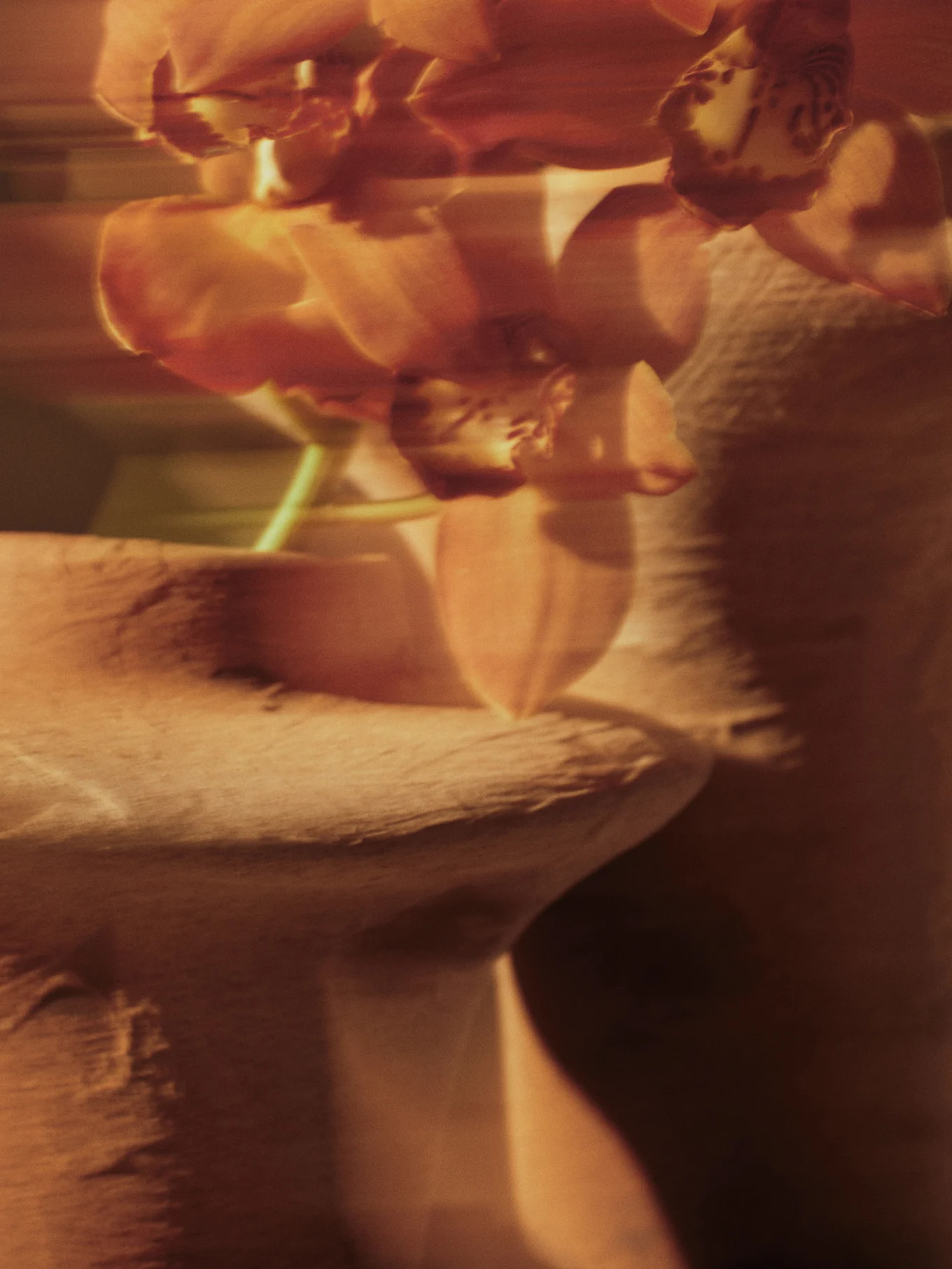 Suddig bild av orangeröda orkidéer med mjukt fokus mot en texturerad bakgrund.