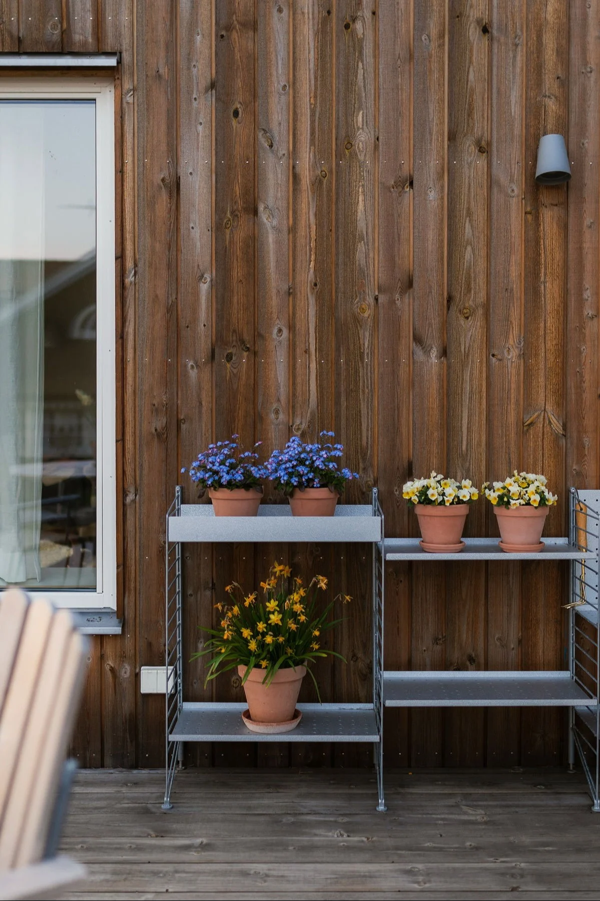 Metallhylla från String med krukor med blå, gula och vita blommor på en trädäck vid en husvägg. Inspiration till din balkong 2026.