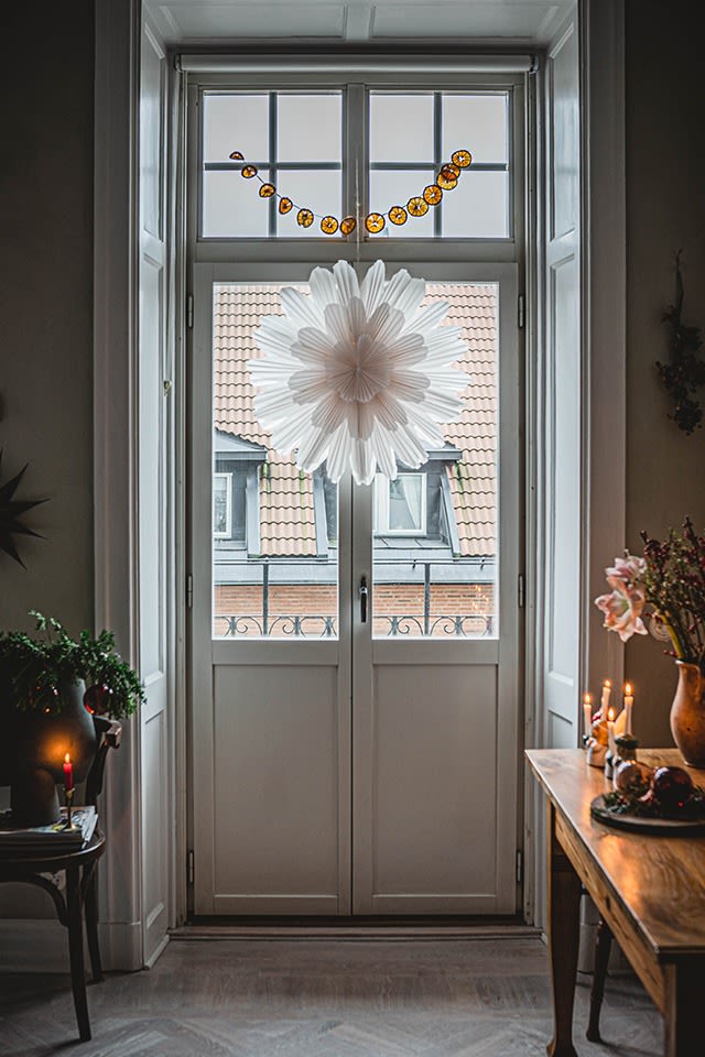 Snöblomman adventsstjärna hemma hos Instagram-profilen Hannes Mauritzson.