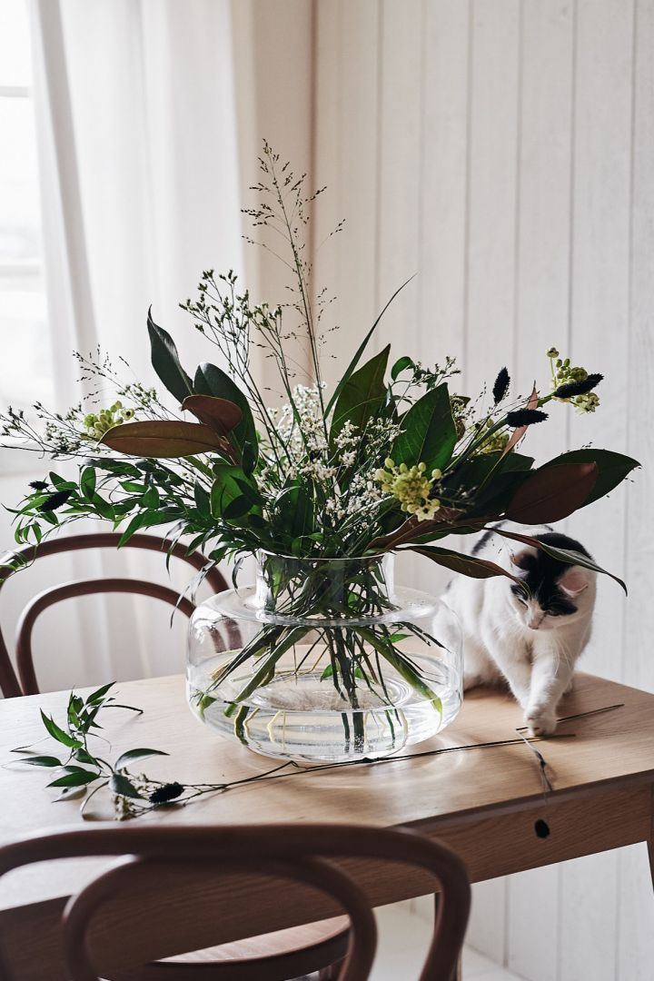 En katt leker med en lös blomma på ett matbord med en bukett färska blommor i den genomskinliga Urna-vasen från Marimekko. 