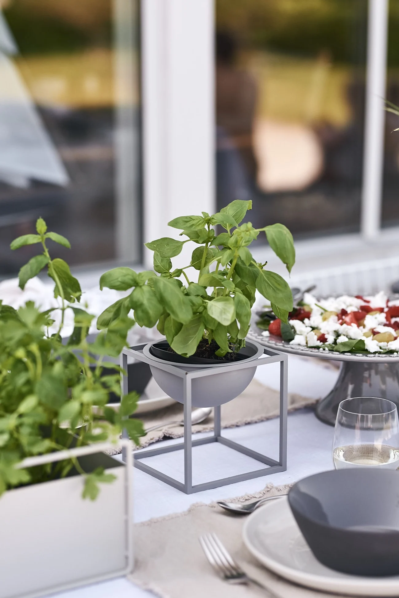 Basilika huserar på bordet i skålen Kubus från By Lassen.