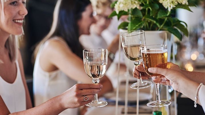 Gästerna skålar på sommarfesten med Spectra vinglas från House Doctor.